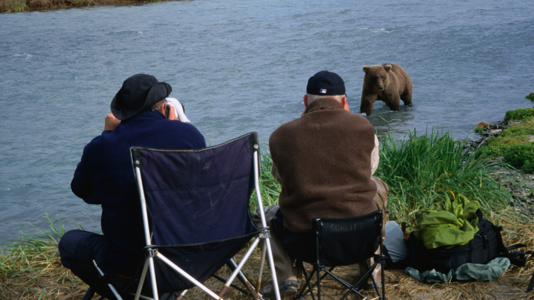 Deux voyageurs photographiant les ours