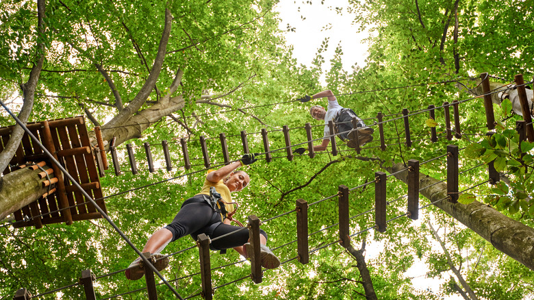 Deux enfants jouent sur un cours de cordes haut dans les arbres