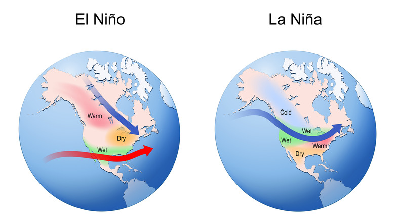 Globes numériques représentant les différents modèles météorologiques entre El Nino et La Nina