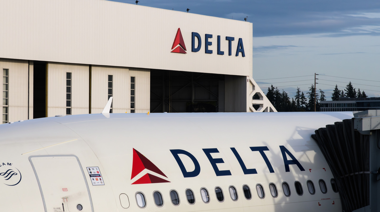 Comment ajouter TSA Precheck à l'application Delta