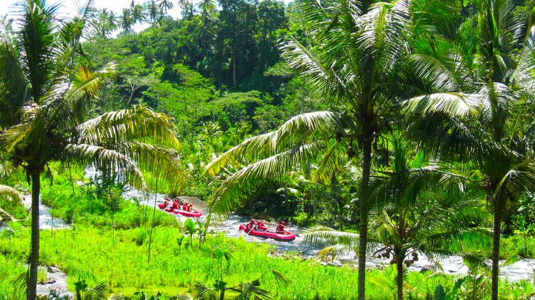 Les chevrons flottent sur la rivière Ayung à Bali