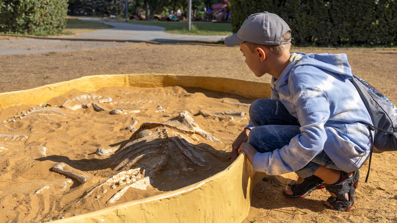 Jeune garçon au musée de l'âge australien des dinosaures