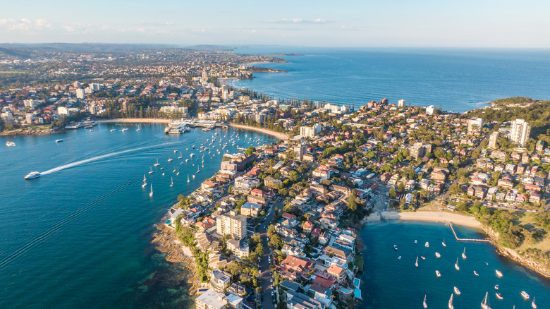 Vue aérienne des maisons et du port rempli de bateaux de Manly