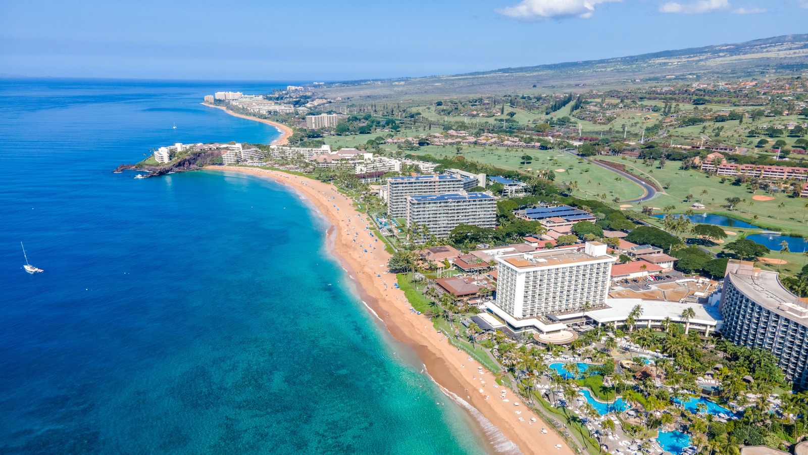 Une plage de rêve à Hawaï est l'endroit idéal pour se régaler des fruits de mer locaux les plus appétissants