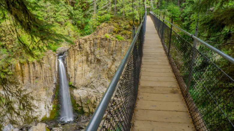 Vue de la cascade de Bridge dans la forêt nationale de Siuslaw