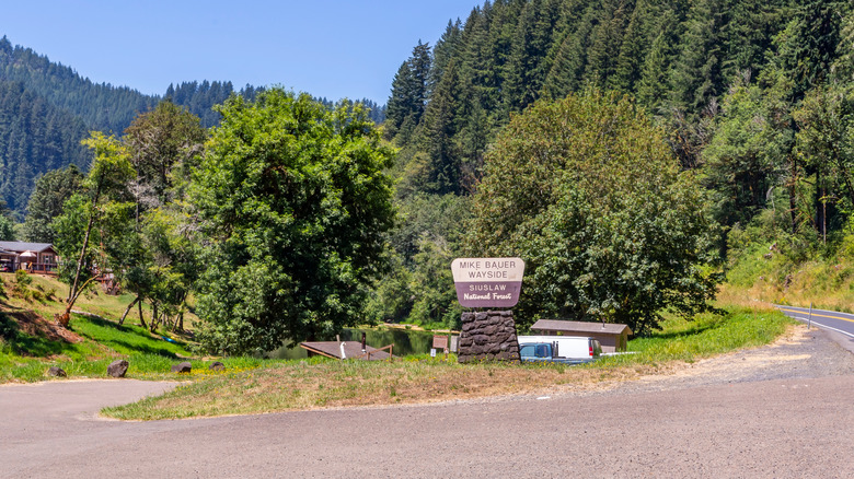 Signe de la forêt nationale de Siuslaw sur le côté de la route sinueuse avec des arbres en arrière-plan