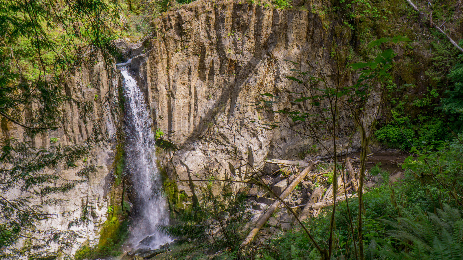 Une forêt nationale de la côte ouest abrite deux cascades appelées les «chutes du Niagara de l'Oregon»