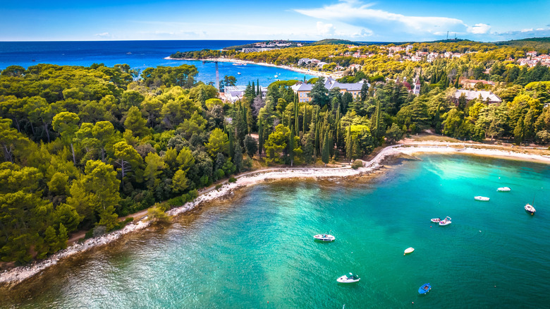 Plage et forêt galets à Rovinj, Croatie