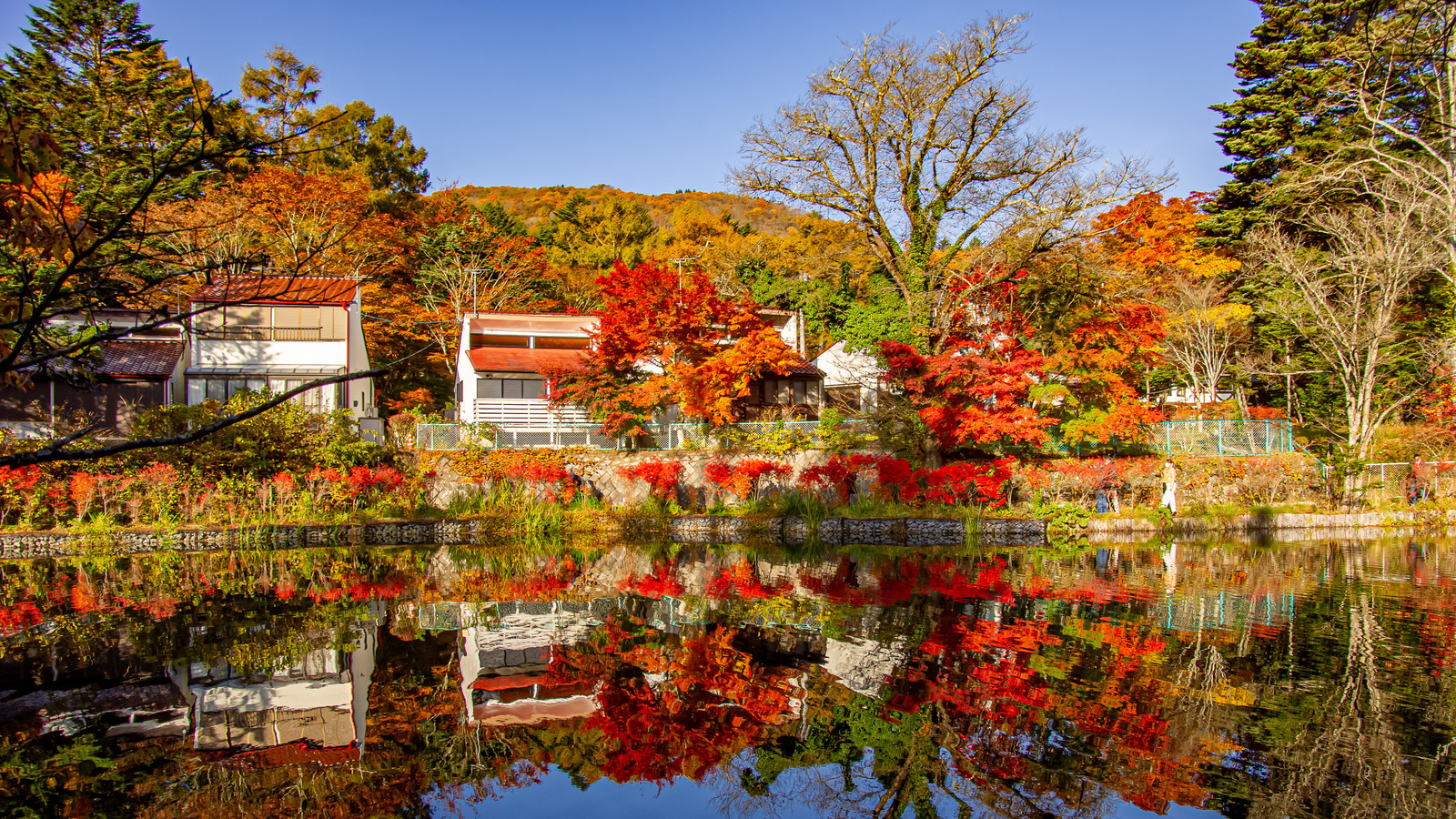 Une ville de montagne zen avec des sources chaudes de guérison connue sous le nom de «les Hamptons du Japon»