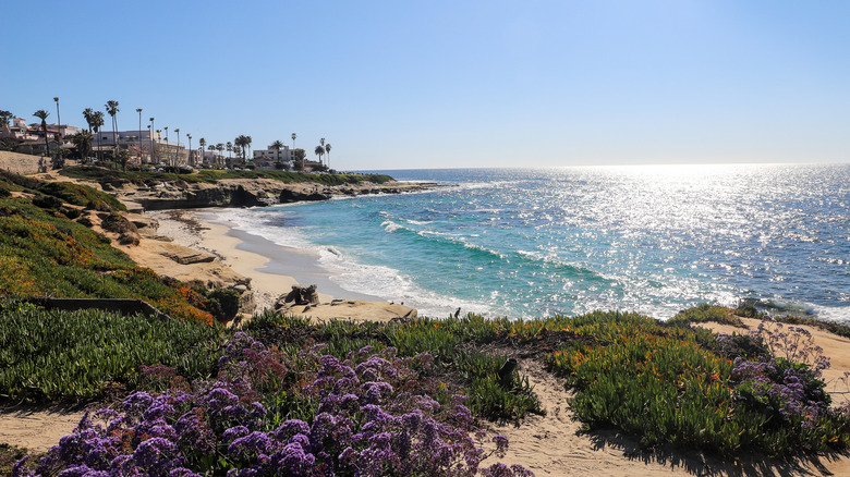 La Jolla sur la côte de San Diego