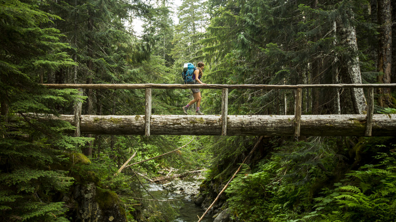 Rackpacker traversant un pont dans le parc national olympique