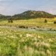 Parc national du Dakota du Sud avec des cavernes, de la faune et des paysages pittoresques au-dessus et en dessous