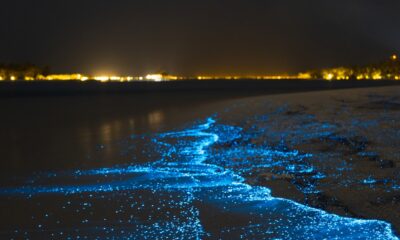 La plus belle émerveillement nocturne de la nature avec une lueur bioluminescente brille dans les Maldives