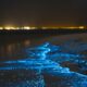 La plus belle émerveillement nocturne de la nature avec une lueur bioluminescente brille dans les Maldives