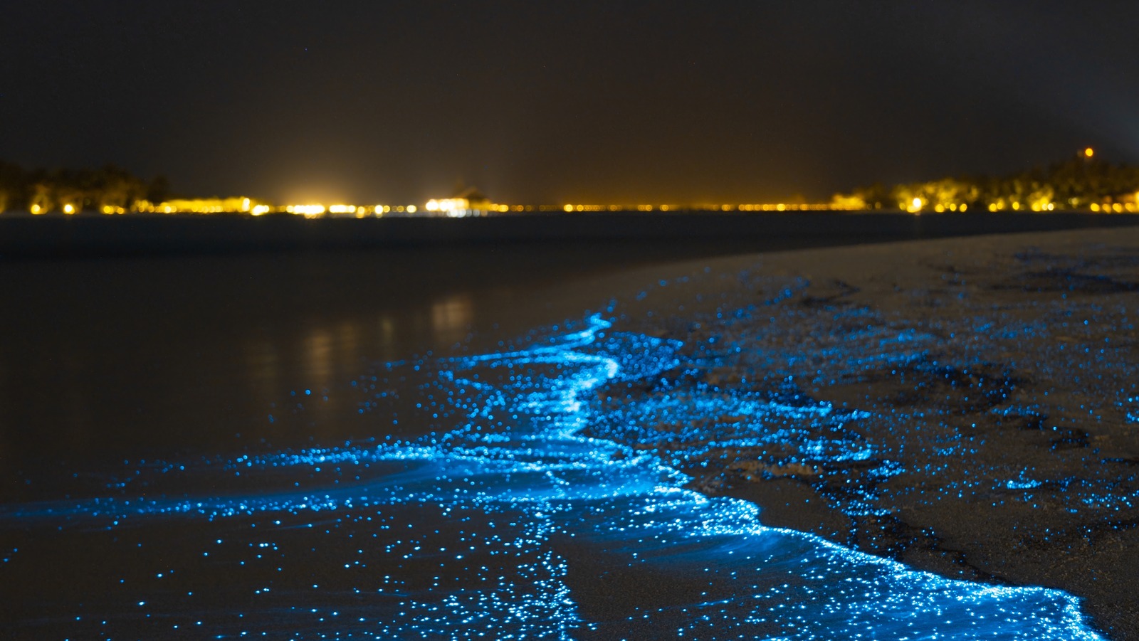 La plus belle émerveillement nocturne de la nature avec une lueur bioluminescente brille dans les Maldives