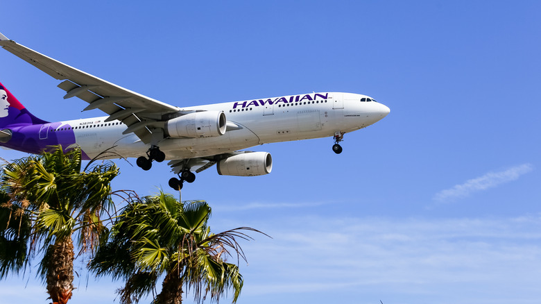 Hawaiian Airlines Avion atterrissant sur les palmiers