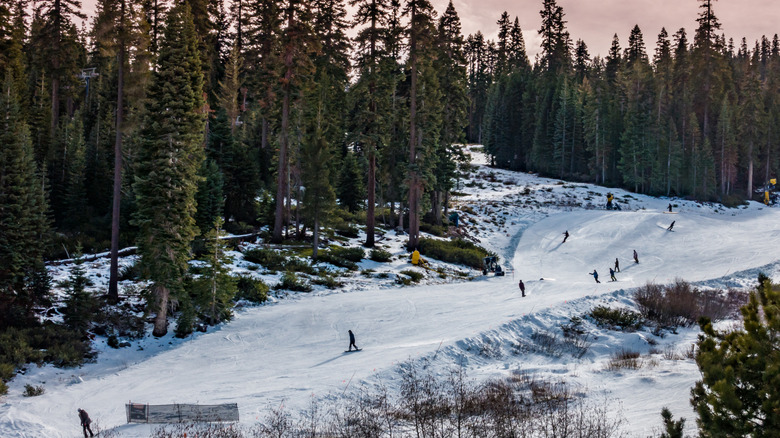 Des gens skiant au Northstar California Resort, Tahoe