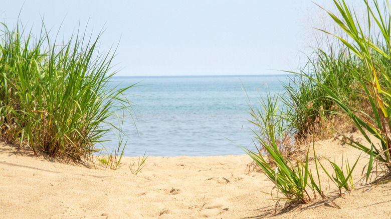 Dunes de sable sur les rives du lac Érié à Woodlawn Beach State Park