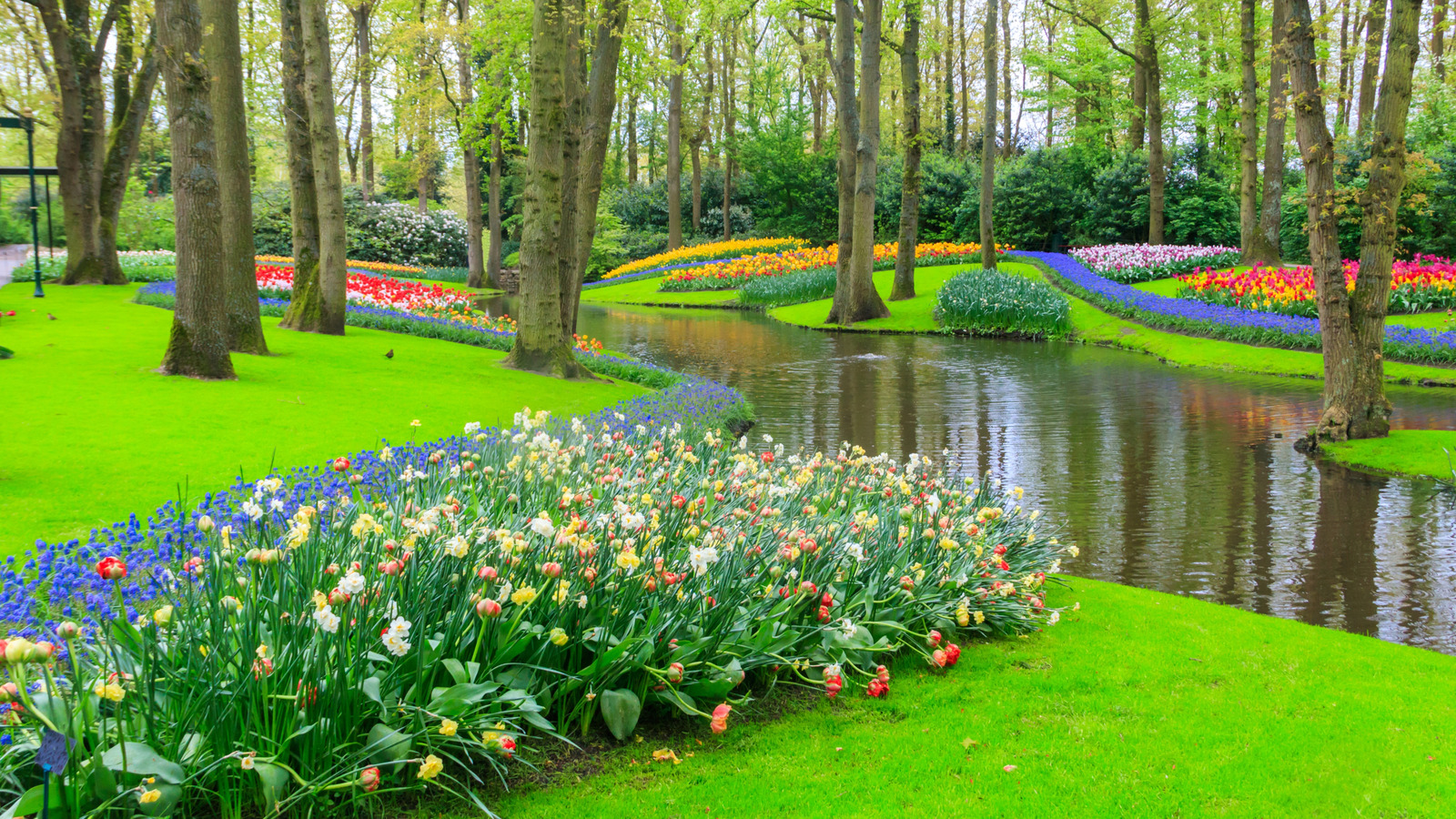 Un refuge fleuri avec plus de 7 millions de fleurs est connu sous le nom de «Garden of Europe»