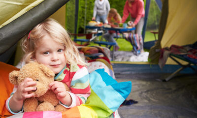 Les couleurs de tente spécifiques que vous devez reconsidérer en utilisant pendant le camping dans le pays des ours