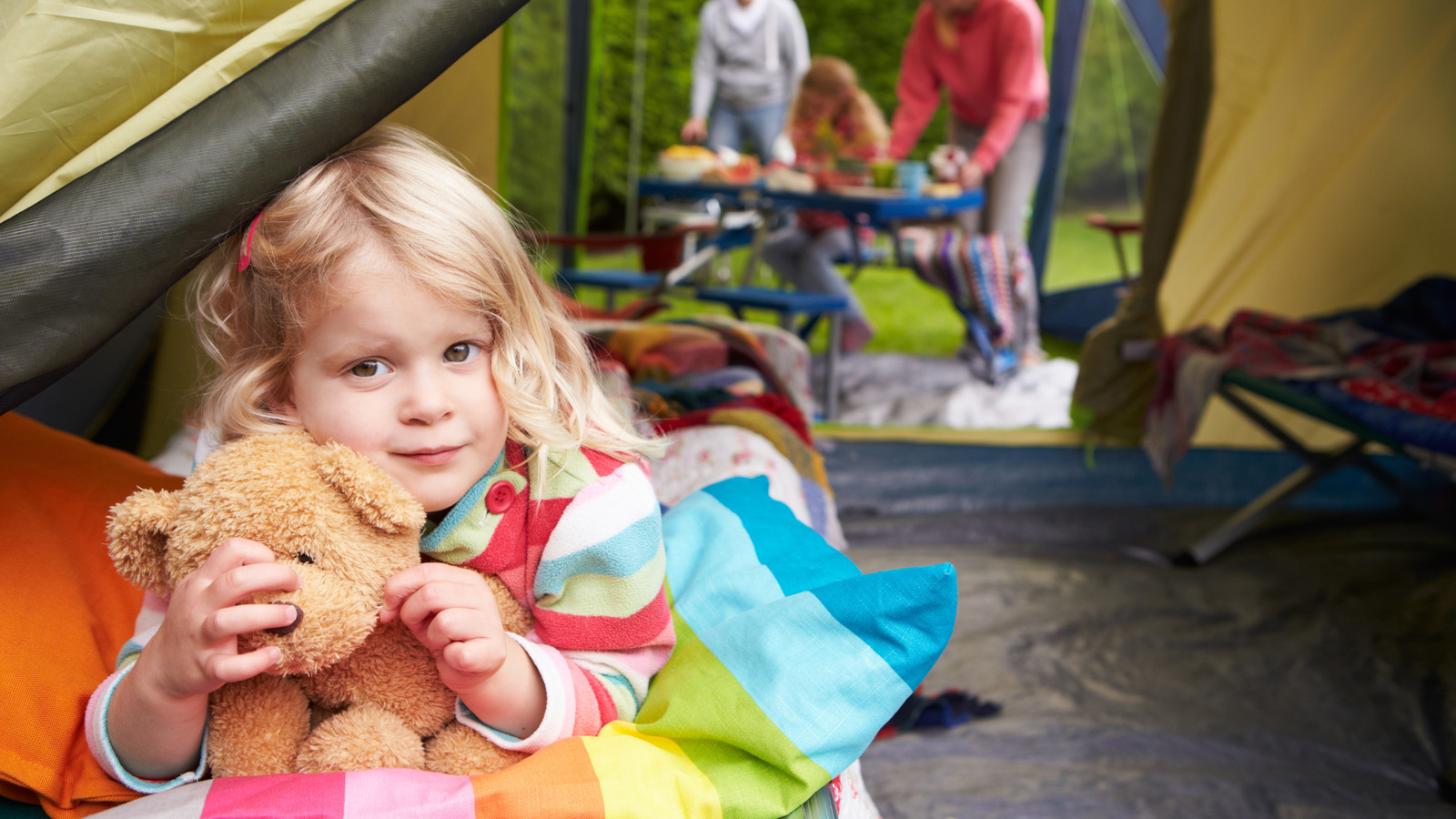 Les couleurs de tente spécifiques que vous devez reconsidérer en utilisant pendant le camping dans le pays des ours