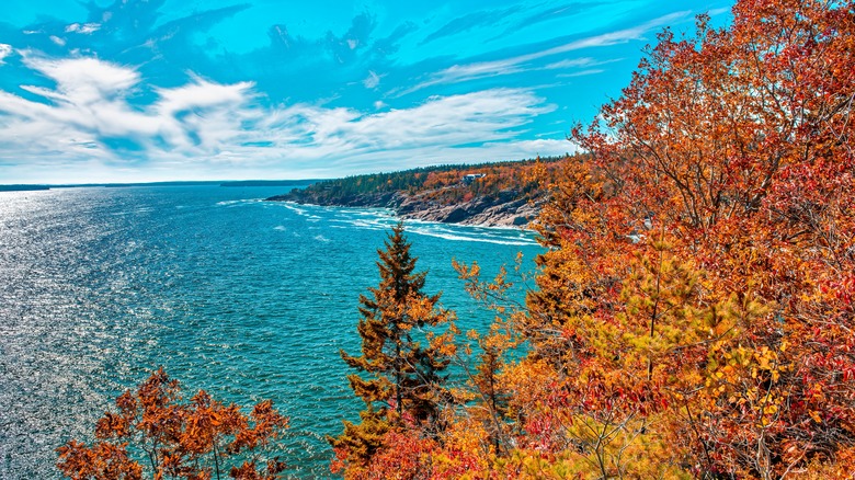 Feuillage d'automne sur la côte de l'Acadie, dans le Maine