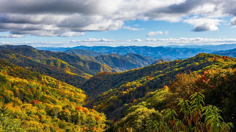 Mountain Vista de Great Smoky National Park