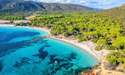 La plage immaculée en France où les eaux cristallines rencontrent doucement les côtes sablonneuses