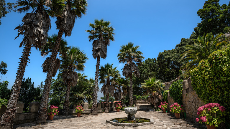 Un paysage tropical dans le parc Pena de Sirtra