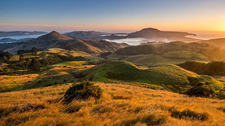 paysage de Dunedin