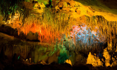 Le seul parc d'État de Floride à proposer des visites à couper le souffle est spectaculaire et sous-estimé