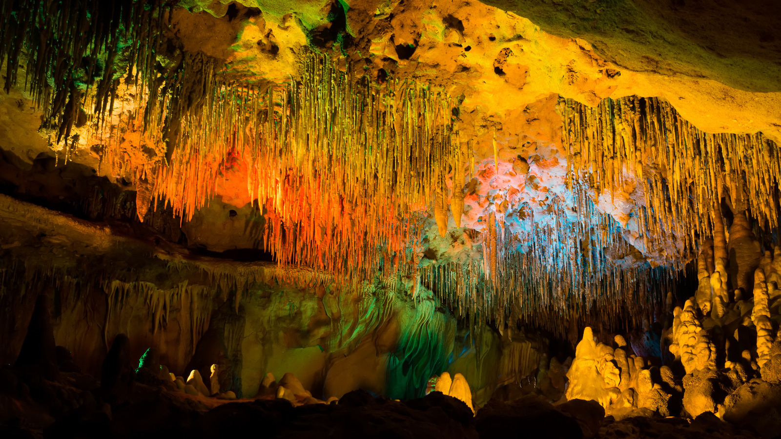 Le seul parc d'État de Floride à proposer des visites à couper le souffle est spectaculaire et sous-estimé