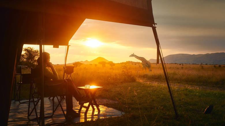 Personne qui regarde une girafe du camp de Serengeti, Tanzanie