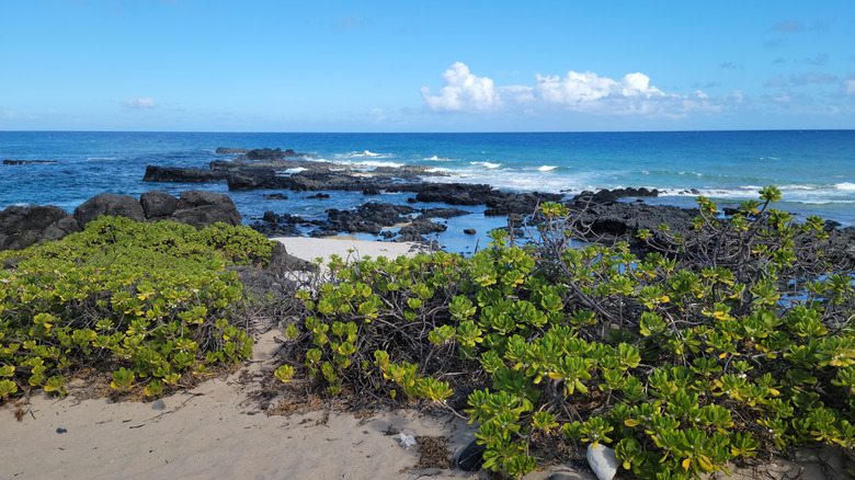 Côte de Ka'ena Point à Oahu, Hawaï