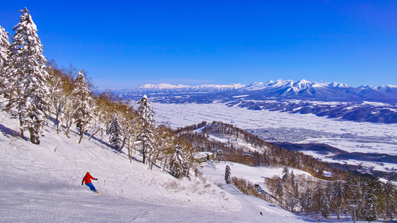 Skieurs descendant les pentes à Furano