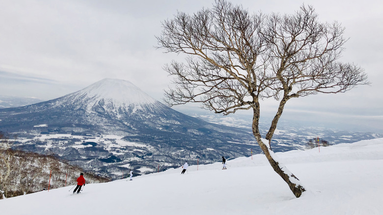 Skiers sur une montagne au Japon