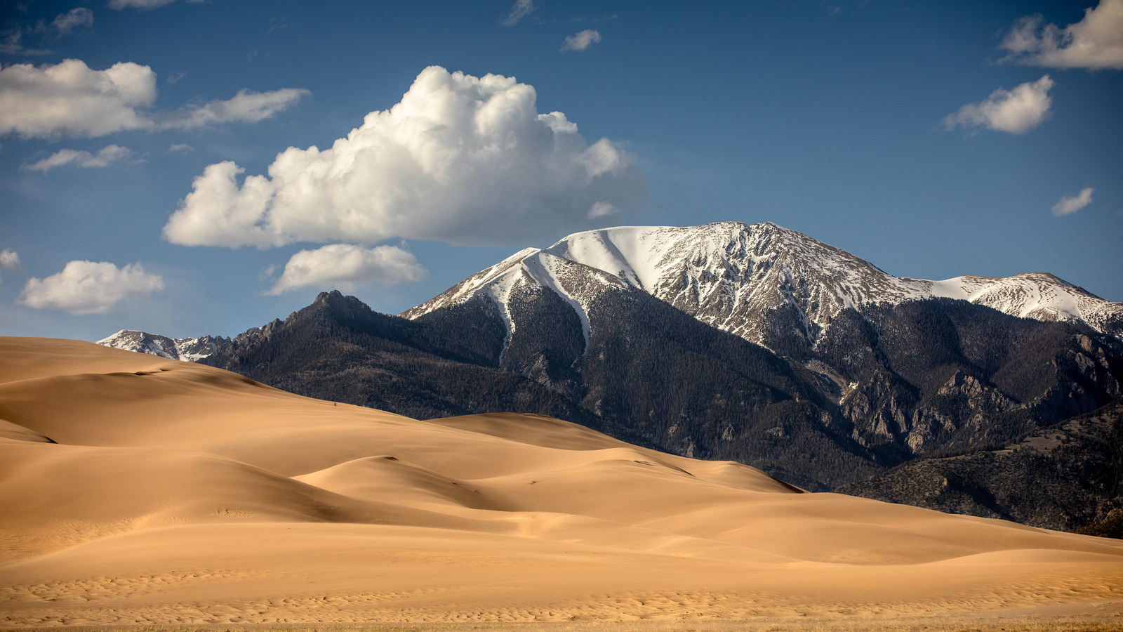 L'une des plus anciennes villes universitaires du Colorado est nichée entre des dunes de sable emblématiques et des pics accidentés