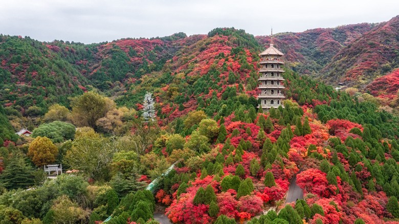 Mount Taishan en été