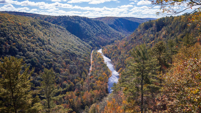 Gorge de Pine Creek en Pennsylvanie