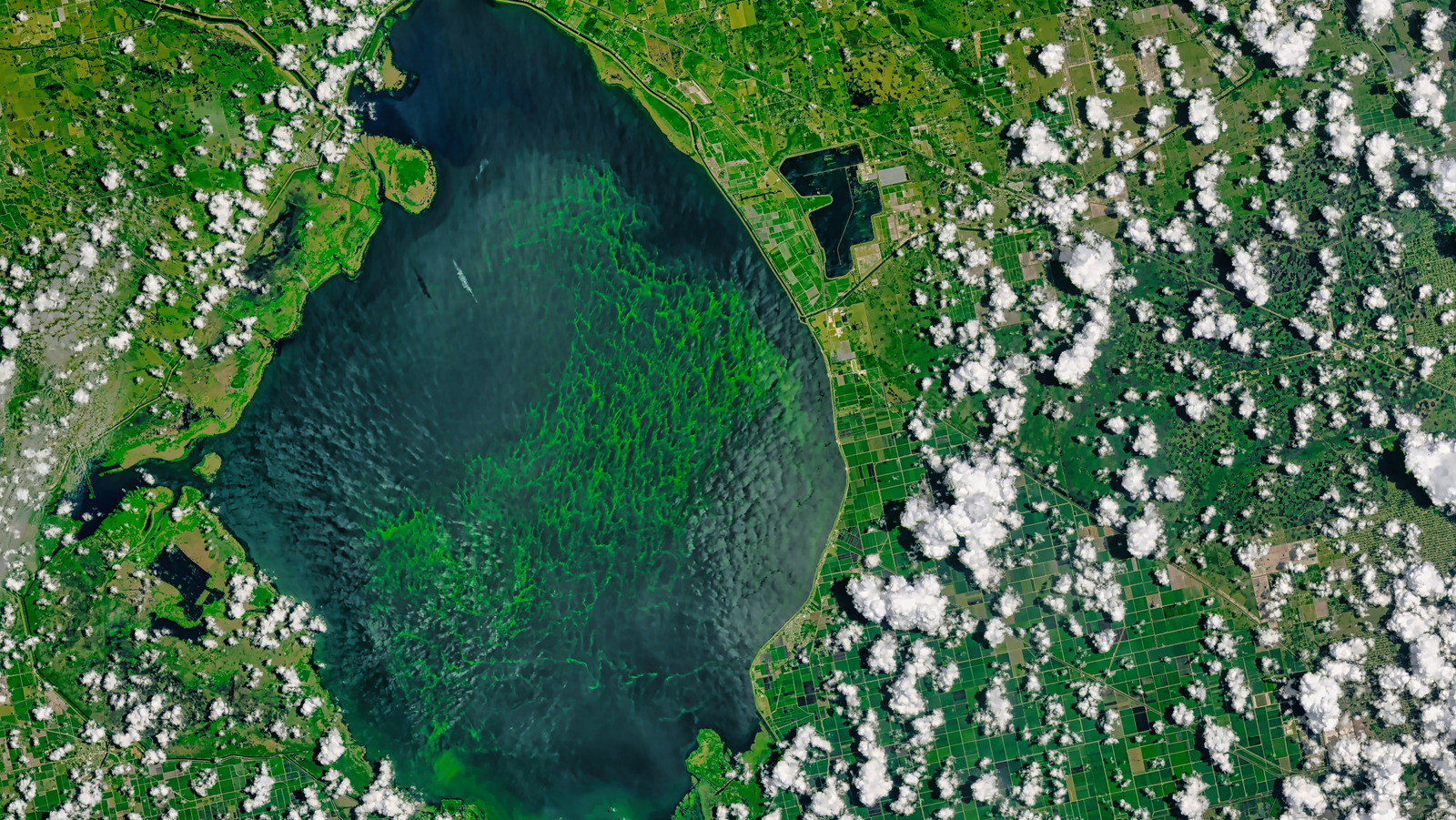 Le plus grand lac de la Floride est un paradis extérieur avec un grand avertissement