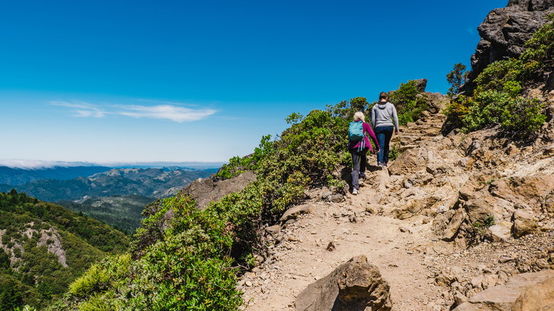 Les gens font la randonnée sur le mont Tamalpais