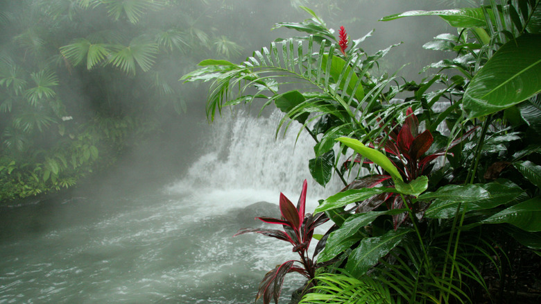 Arenal Hot Springs Paysage