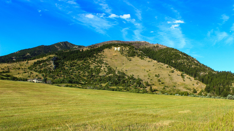 Lettre blanche 'M' sur la montagne près de Bozeman, Montana