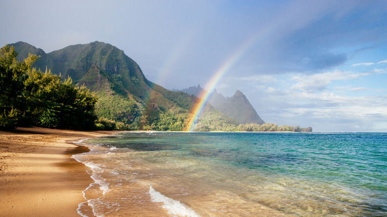 Le littoral idyllique de Kauai à Hawaï