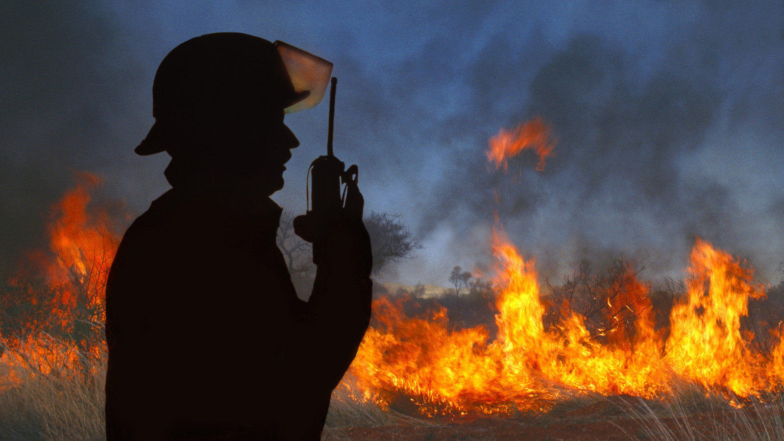 La randonnée mortelle et le risque de camping en raison du changement climatique et des incendies de forêt