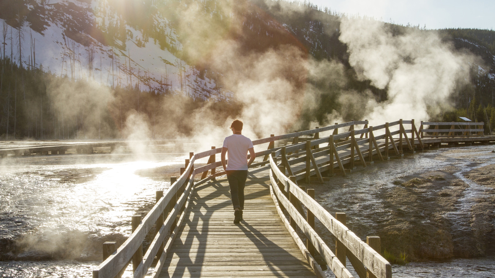 Pourquoi les hommes sont plus à risque de mourir dans le parc national de Yellowstone