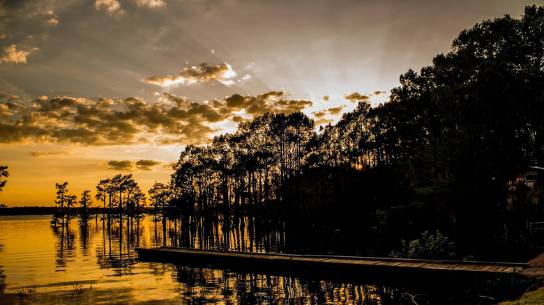 coucher de soleil sur le lac avec de grands arbres