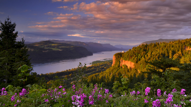 Rivière, falaises et fleurs sauvages au coucher du soleil