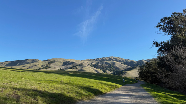 Une vue panoramique le long d'un sentier Mission Peak près de Fremont, en Californie,