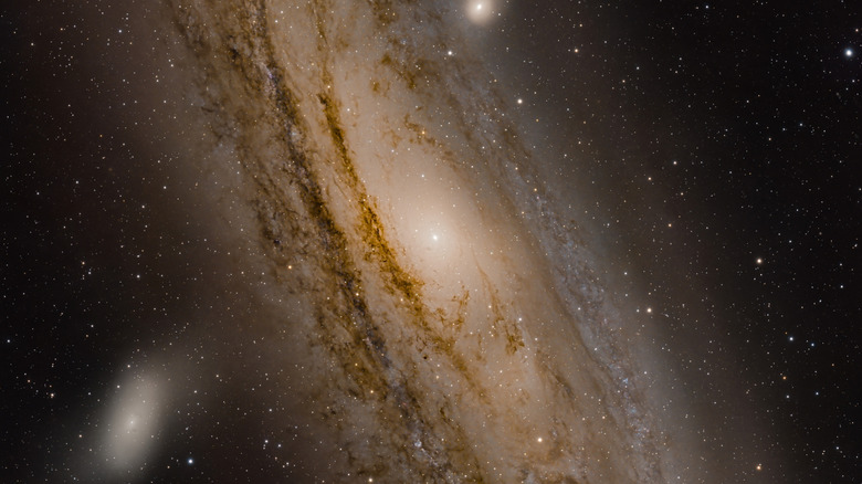 Une image des nuages ​​de poussière tourbillonnant de la galaxie d'Andromède